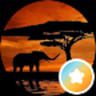 African savanna sunset scene with elephant
